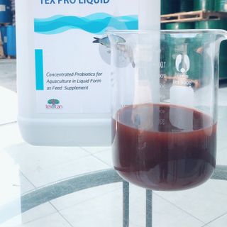 TEX PRO LIQUID Men đường ruột dạng nước cho tôm cá