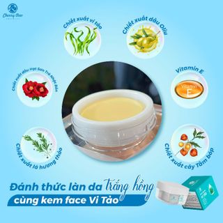 kem trắng da hàn quốc se khít lỗ chân lông làm mịn da mờ thâm nám tàn nhang kem face vi tảo crd (hàng chính hãng)