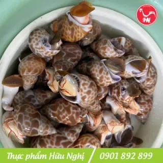 ỐC HƯƠNG