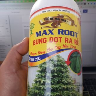 Bung đọt ra rễ max root 1lit