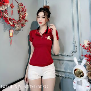 Chuyên sỉ Áo thun bozip form dưới 65kg Xưởng may YoYo chuyên sỉ áo thun thái