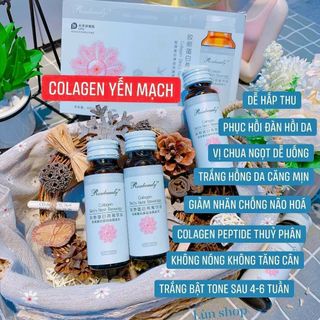 Collagen yến mạch giá sỉ