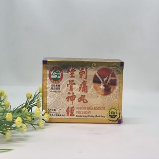 TỌA CỐT THẦN KINH CỐT THÍCH HOÀN