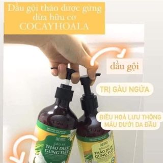 COMBO DẦU GỘI XẢ THẢO DƯỢC GỪNG DỪA HỮU CƠ CỎ CÂY HOA LÁ LÀM SẠCH DA ĐẦU, HỖ TRỢ GIẢM NGỨA HIỆU QUẢ, DƯỠNG TÓC MỀM MƯỢT VÀ CHẮC KHOẺ