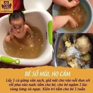 Sữa tắm thảo dược gừng nghệ Cỏ Cây Hoa Lá