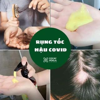 COMBO DẦU GỘI XẢ THẢO DƯỢC GỪNG DỪA HỮU CƠ CỎ CÂY HOA LÁ LÀM SẠCH DA ĐẦU, HỖ TRỢ GIẢM NGỨA HIỆU QUẢ, DƯỠNG TÓC MỀM MƯỢT VÀ CHẮC KHOẺ