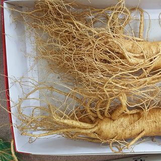 sâm tươi Hàn Quốc 6 năm tuổi loại 2 củ/kg ( loại 1)
