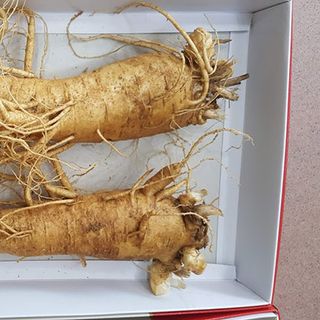 sâm tươi Hàn Quốc 6 năm tuổi loại 2 củ/kg ( loại 1)