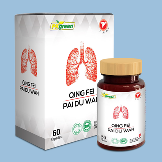 Thanh Phế Bài Độc Quing Fey Pai Du Wan - 60 Viên (Nhập Singapore)