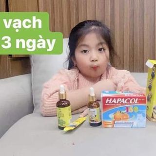 Dầu húng chanh
