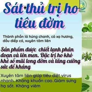 Dầu húng chanh
