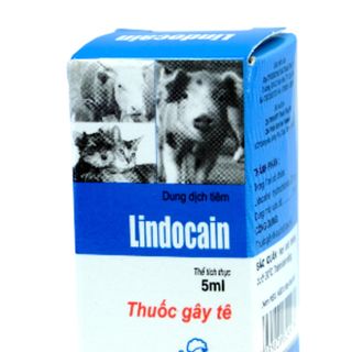 5ml Vemedim Lindocain thuốc gây tê cho gia súc gia cầm và thú cưng chó mèo giá sỉ