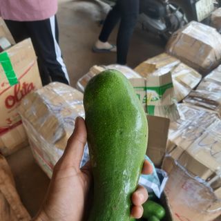 Bơ Núi Nưa - Size 2, 3, 4 quả/1kg