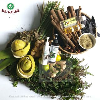 [Handmade ]Dầu gội thảo dược SHU NATURE giảm rụng tóc, mọc tóc nhanh, hết gàu ngứa sau 3-6 lần gội
