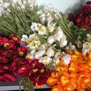 Bó 5 cành hoa anh túc 4 bông