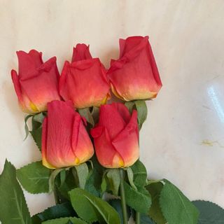 Combo 5 cành hoa hồng