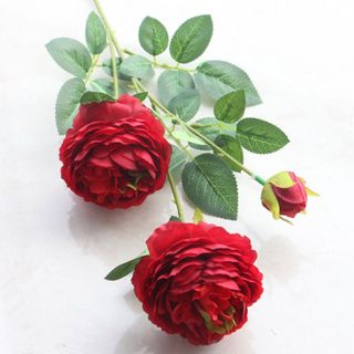5 cành hoa mẫu đơn vải 65cm