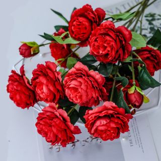 5 cành hoa mẫu đơn vải 65cm