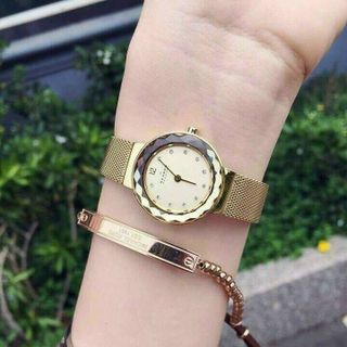ĐỒNG HỒ SKAGEN 456SGSG GOLD CAO CẤP