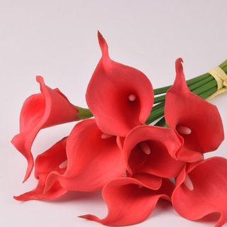 Bó 5 cây hoa rum, calla lily