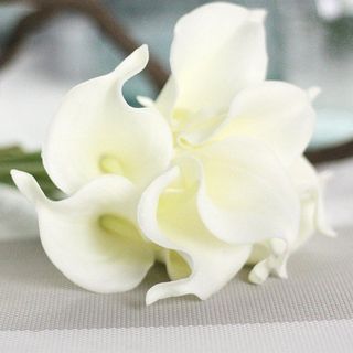 Bó 5 cây hoa rum, calla lily