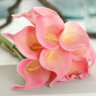 Bó 5 cây hoa rum, calla lily