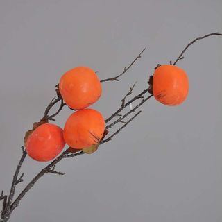 Cành hồng giả 4 trái