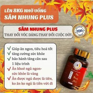 Sâm Nhung Plus