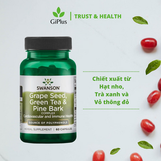 Viên Uống Hỗ Trợ Tim Mạch Và Miễn Dịch Swanson Grape Seed, Green Tea & Pine Bark (60 Viên/Lọ)