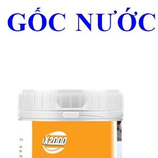 Sơn chống thấm gốc nước và gốc dầu
