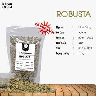 [1kg] Cà Phê Nhân Xanh ROBUSTA GIÁ SỈ Tỷ Lệ Chín Cao - Cafe Nhân Sạch - Hữu Cơ - Cà Phê Nhân Sống Loại Chưa Rang giá sỉ