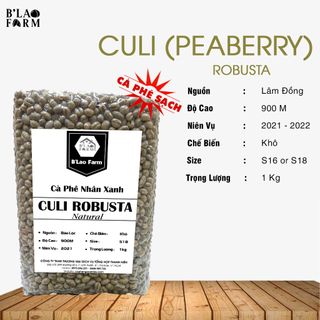 [1kg] Cà Phê Nhân Xanh CULI GIÁ SỈ Coffee Peaberry - Tỷ Lệ Chín Cao - Cafe Bi - Cà Phê Nhân Sống Loại Chưa Rang giá sỉ