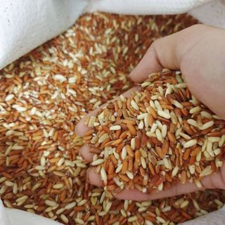 Sỉ gạo lứt dẻo Điện Biên - kho sỉ thực phẩm eatclean, ăn kiêng, giảm cân