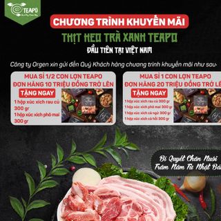 Heo Trà Xanh Teapo giá sỉ