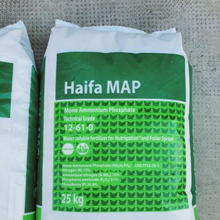 Phân bón MAP Haifa