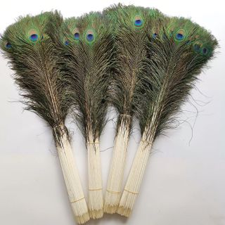 Sỉ 100 Cành Lông Công phong thuỷ Chưa Lựa Dài 90cm, 100cm, 115cm Đẹp Tự nhiên 100%