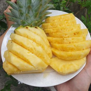 Dứa MD2 siêu ngọt