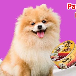 Pate cho chó mèo