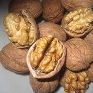 HẠT ÓC CHÓ