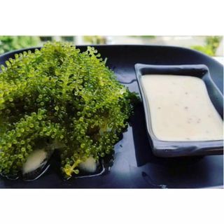 [Sale] Rong nho tách nước 100g/gói