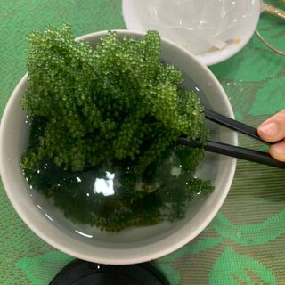 [Sale] Rong nho tách nước 100g/gói