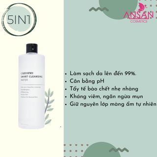 Nước tẩy trang Caryophy Smart Cleansing Water 300ml