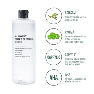 Nước tẩy trang Caryophy Smart Cleansing Water 300ml