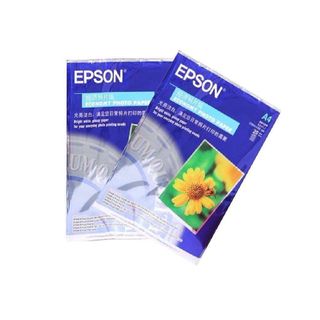 Giấy in ảnh Epson A4, hoa cúc giá sỉ