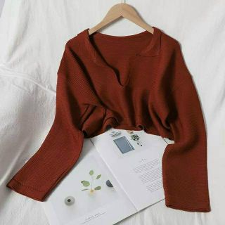 Áo croptop cổ V tay dài đơn giản bán siêu cháy hàng giá xưởng siêu tốt