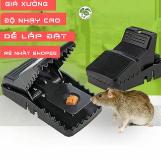 Bẫy chuột thông minh có sỉ