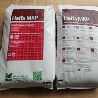 Phân bón MKP Haifa