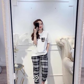 [3 size 45-62kg tùy chiều cao] Set bộ thun CARO ĐẮP TÚI thời trang chất thun mềm mịn co giãn 4 chiều