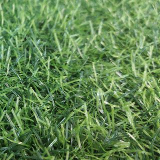 Cỏ nhân tạo sân vườn giá rẻ 2cm
