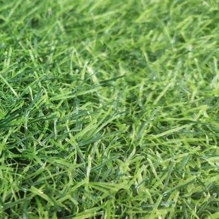 Cỏ nhân tạo sân vườn giá rẻ 2cm